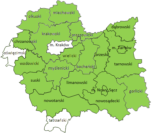 Na zdjęciu kontur małopolski z zaznaczonymi na zielono poszczególnymi powiatami biorącymi udział w programie Firma +1