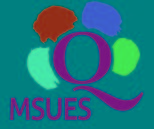 Obrazek dla: Brak prawa do używania znaku jakości MSUES