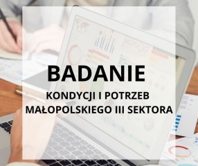 Zdjęcie artykułu Badanie kondycji i potrzeb małopolskiego III sektora